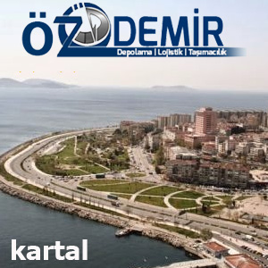 kartal evden eve nakliyat