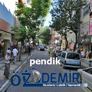 Kaynarca evden eve nakliyat